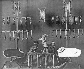 探索爱马仕箱包世界,爱马仕箱包之旅