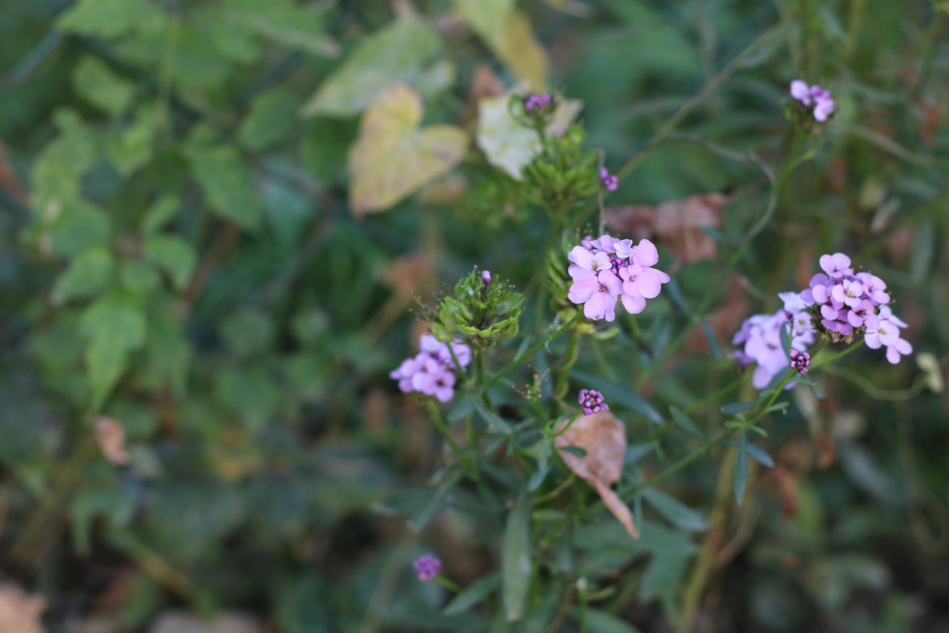 为什么会嫉妒老公的前女友,嫉妒男友的前女友