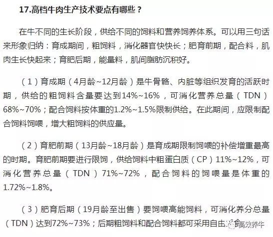 养牛老汉总结的30条养牛经验（1）