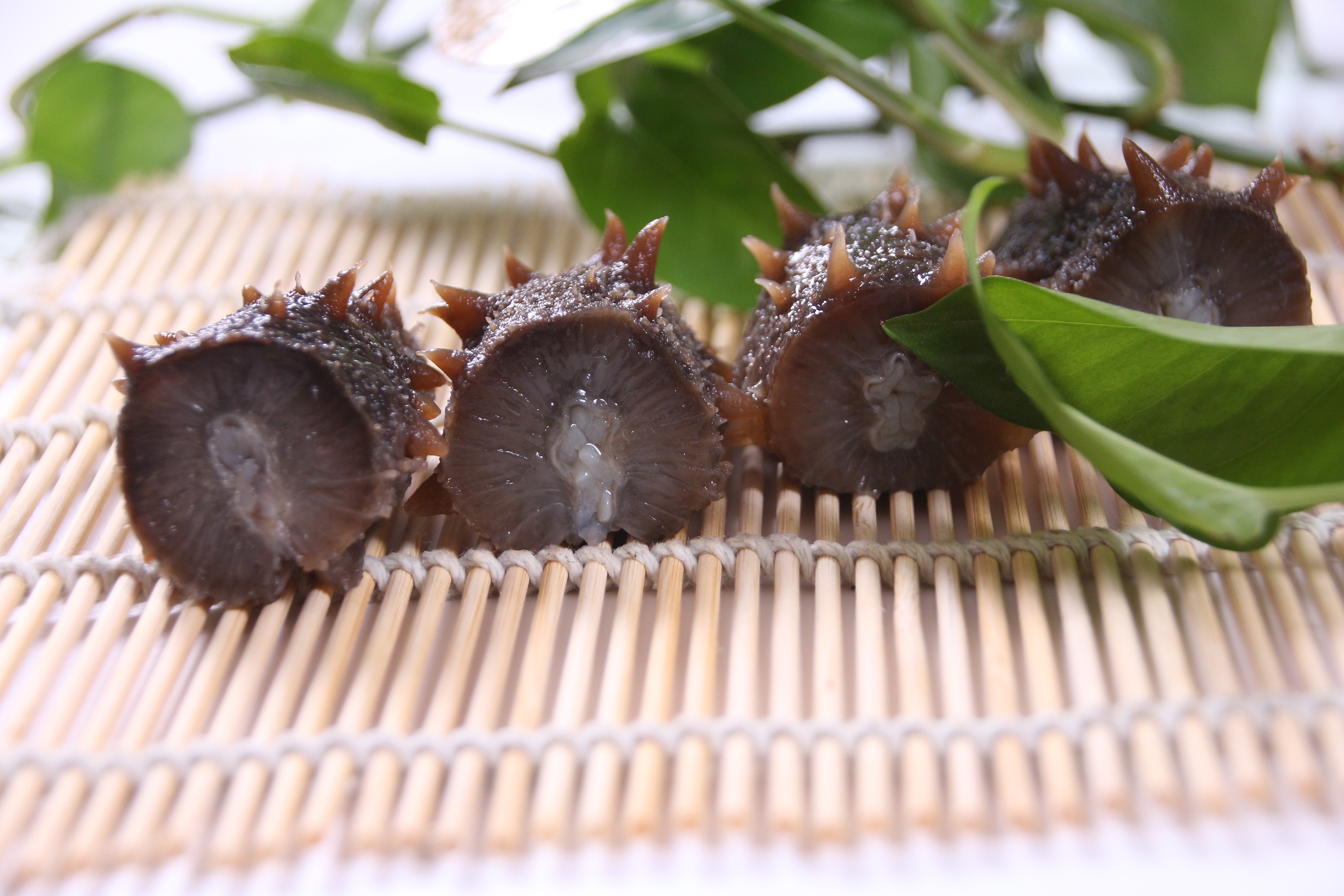 为什么有几十块钱一斤的海参 (海参有的很便宜是怎么回事)