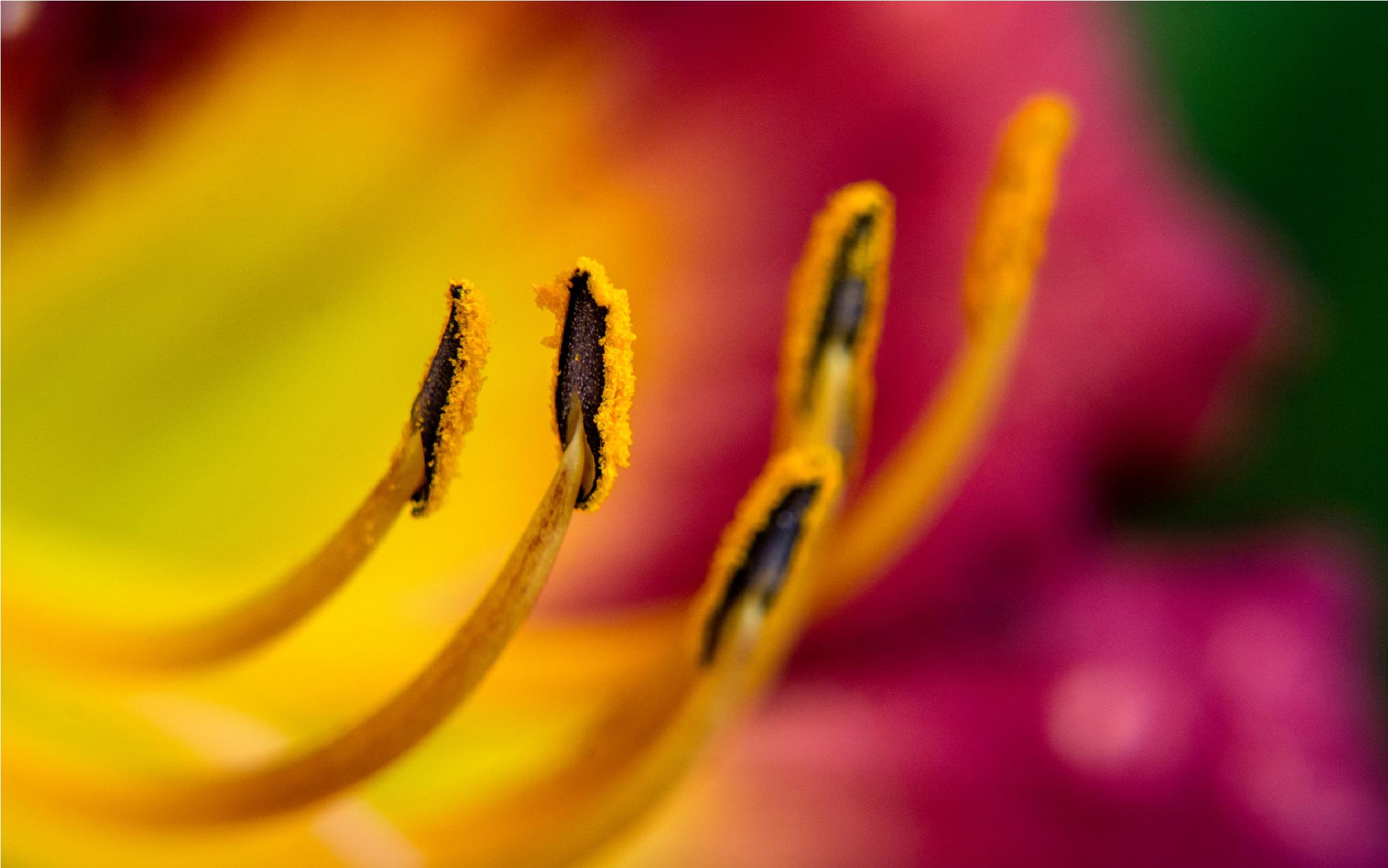 单反相机各个功能按钮图解,图解单反相机基本原理