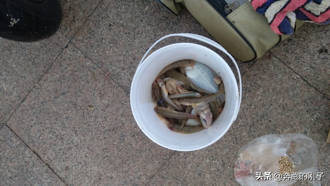 备战南京马拉松5—烟台滨海路畅跑15公里海钓黄海明珠合肥号