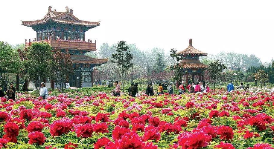 洛阳景区高速免费范围,洛阳到济源高速免费政策