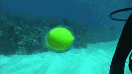 科普张姿势动图:感觉自己姿势又涨了100点