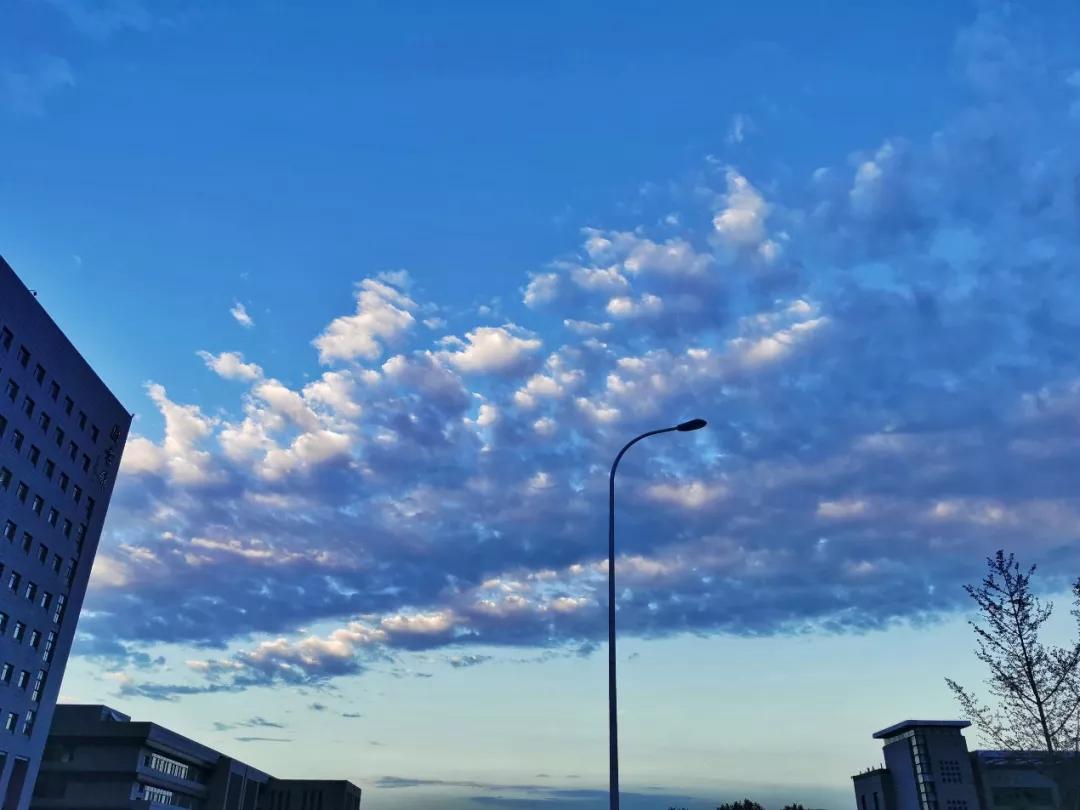 天津市普通高等院校,天津师范高等专科学校