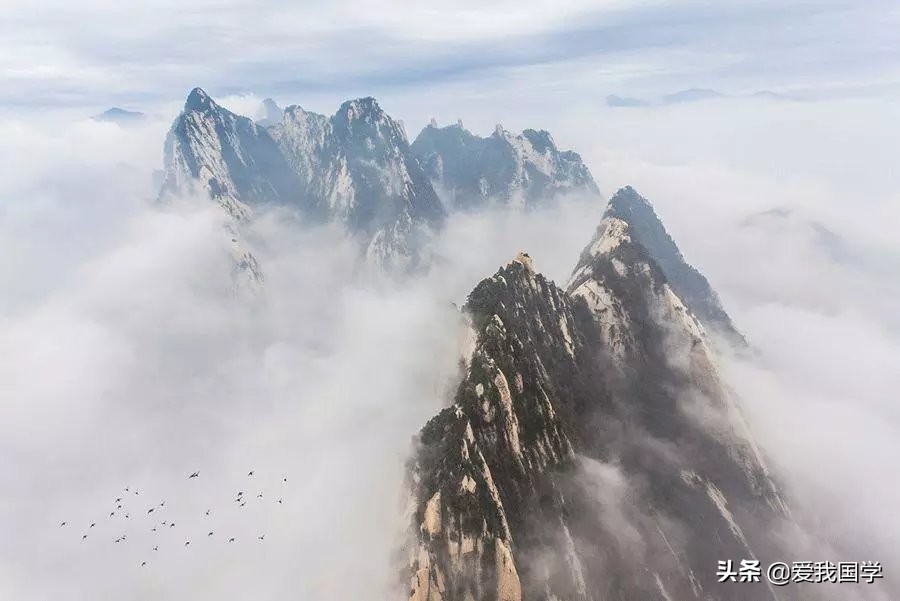 带有松竹梅的诗句,松竹梅雪的诗句