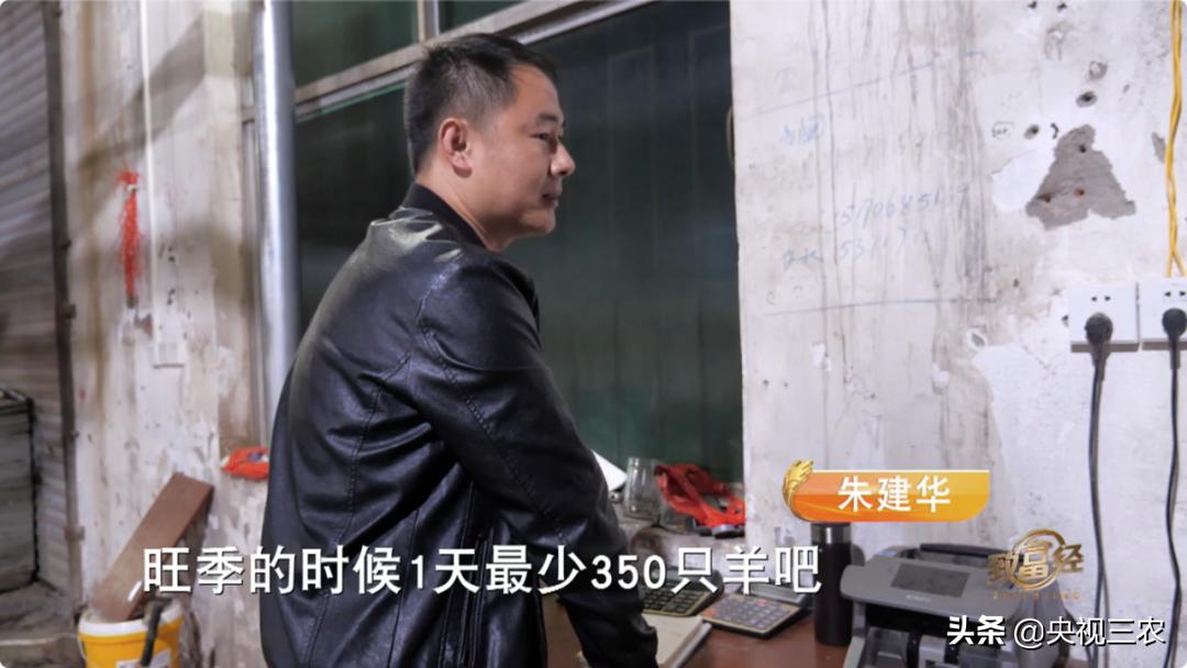 80后小伙返乡创业带着乡亲发羊财,95后小伙半年存款27万