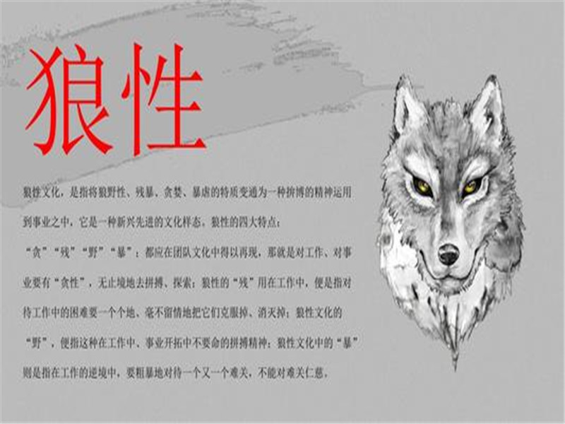 狼道学狼性,狼道为人处世