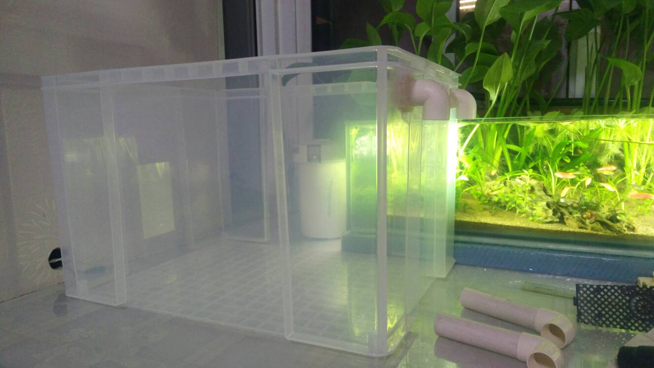 沼泽过滤鱼缸怎么开缸,沼泽缸开缸教程