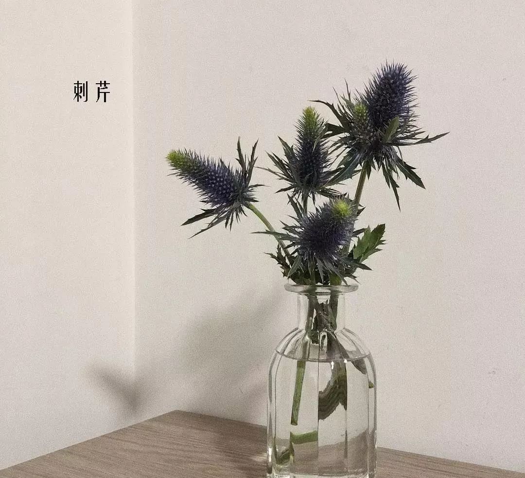 花店里同款的两种不同价格的花材,花店最容易被顾客误解的几种花材