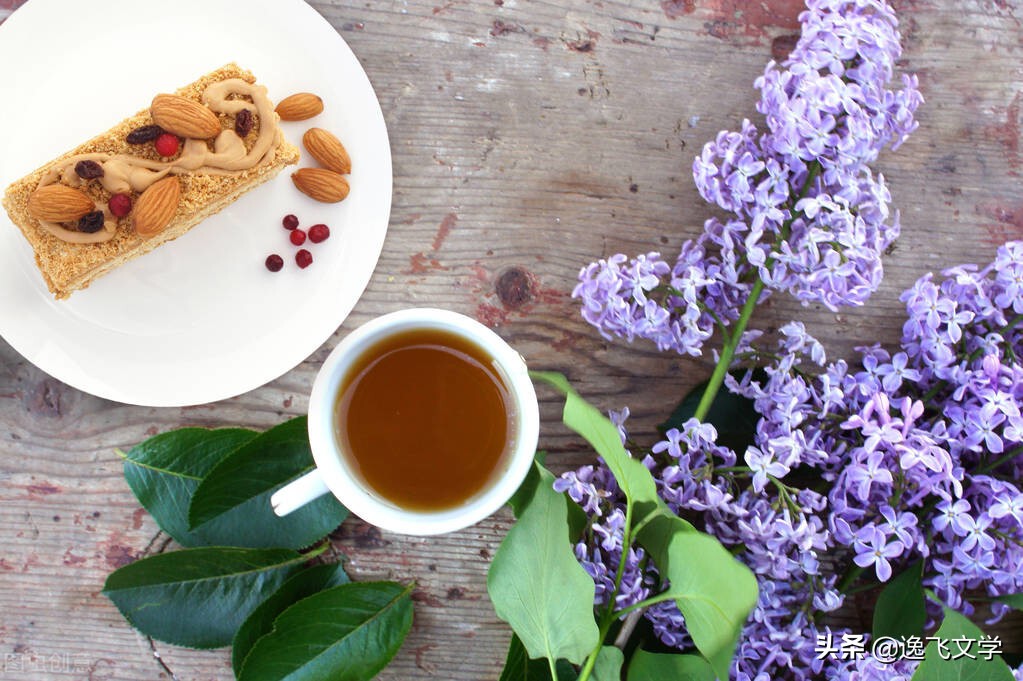 散文武功山,功夫茶美文