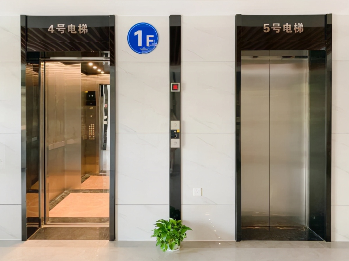 武大毕业宿舍,武大樱花宿舍楼