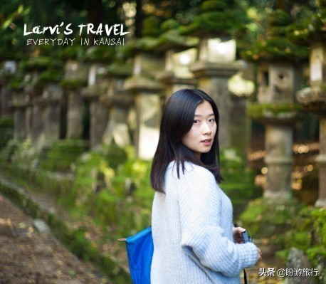 散步关西の日本深度自由行大阪都门奈良城崎、白滨温泉(上篇)