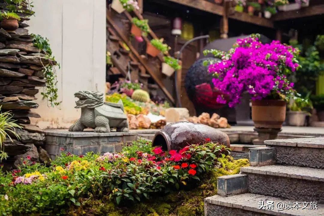 丽江10家民宿推荐,丽江十大民宿酒店推荐图片