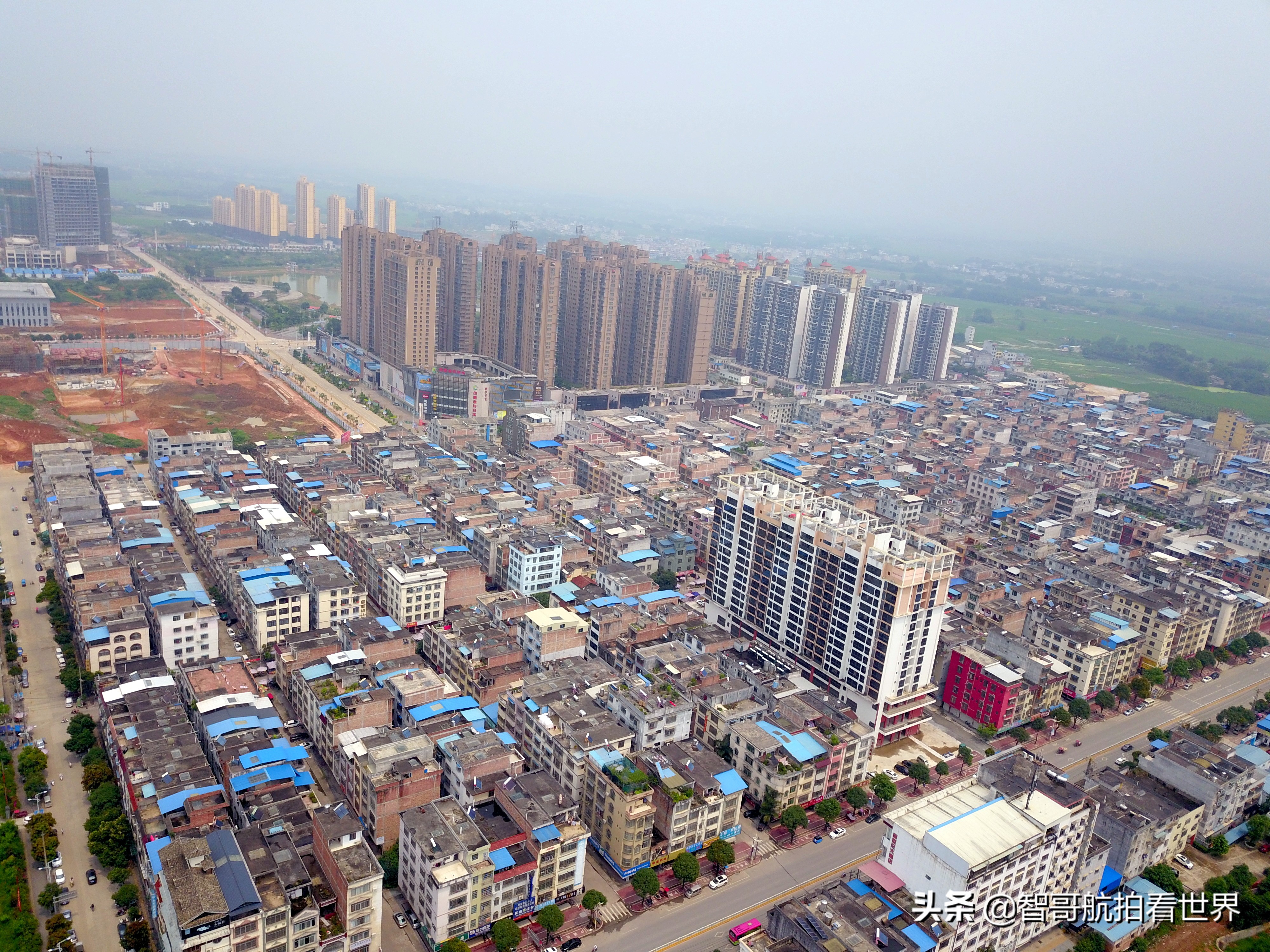 广西宾阳炮龙乡视频,宾阳炮龙之乡新闻