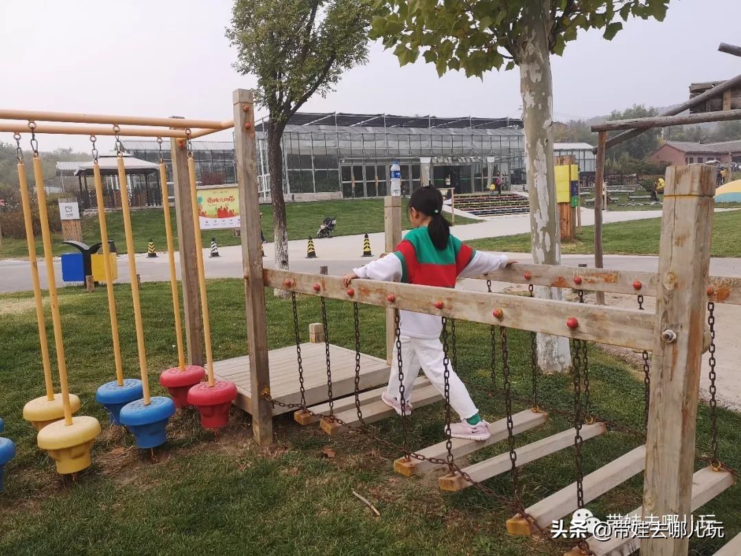 住别墅、滚草坪、躺在床上看电影，密云轻奢营地的花样玩法