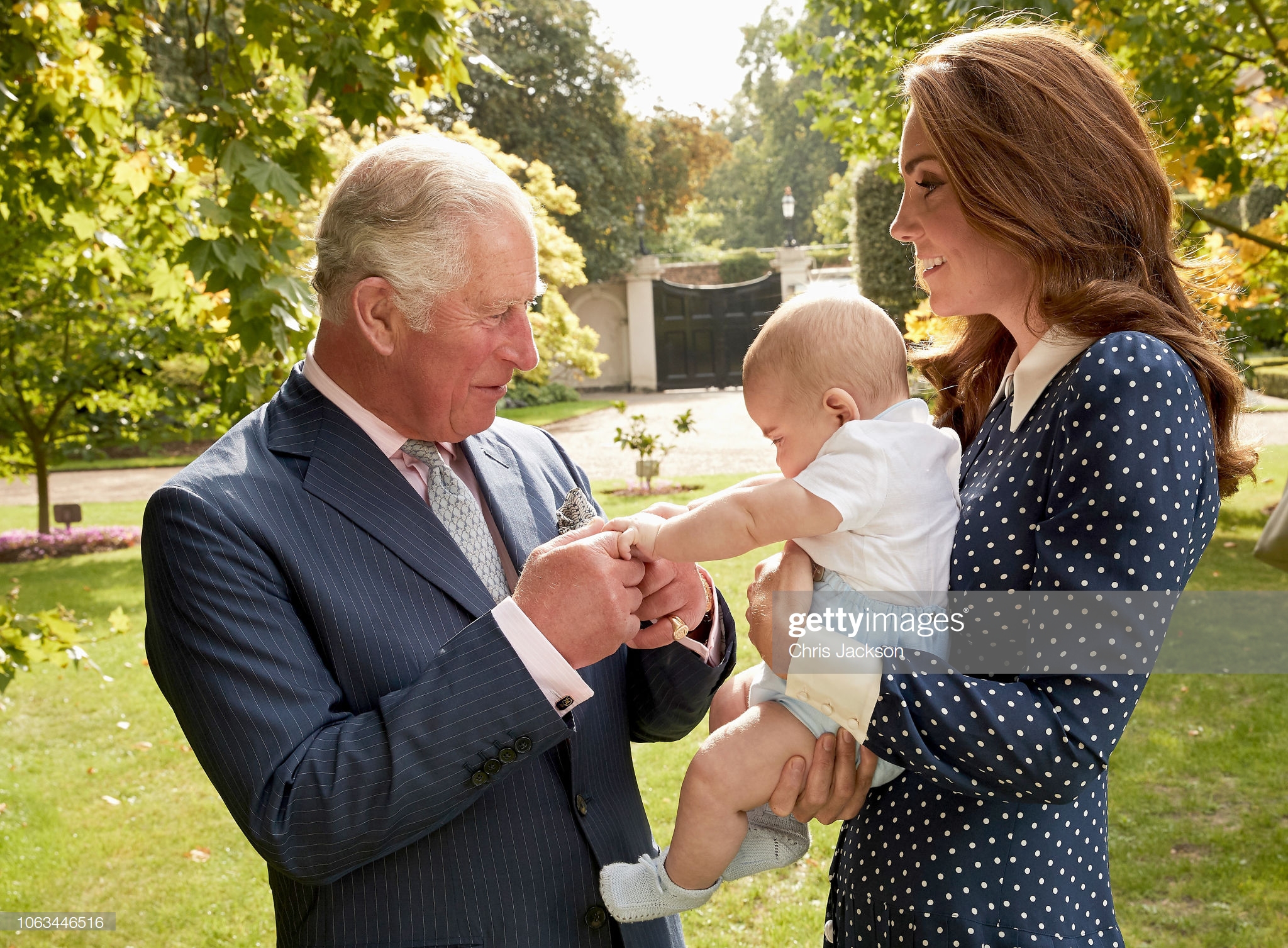 查尔斯和卡米拉有血缘关系么,查尔斯隔代亲