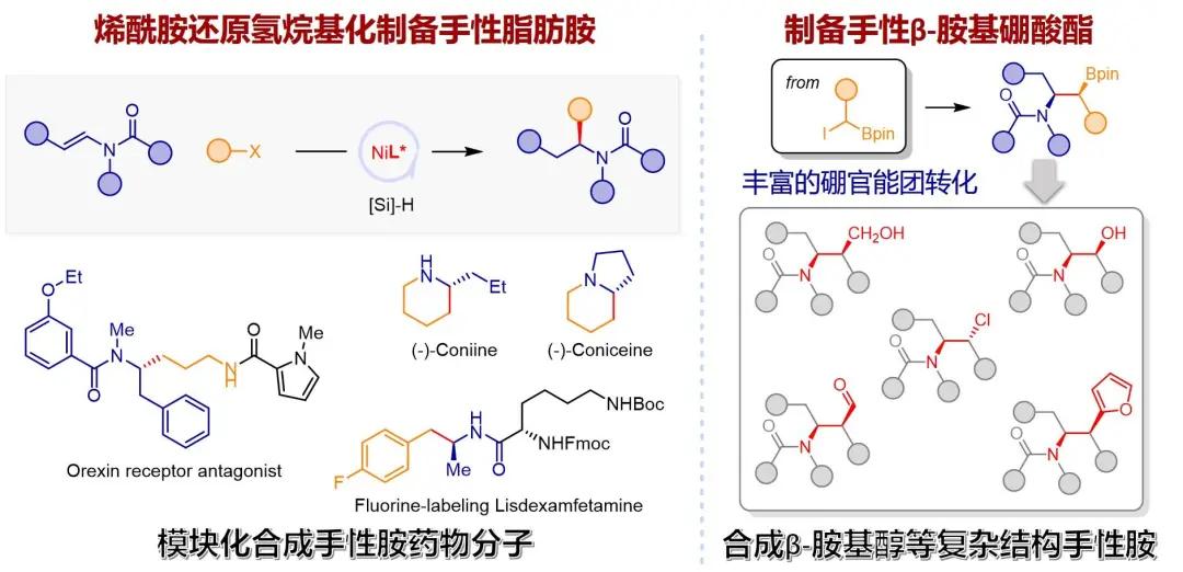 中国科学技术大学丨近期科研成果速览（下）