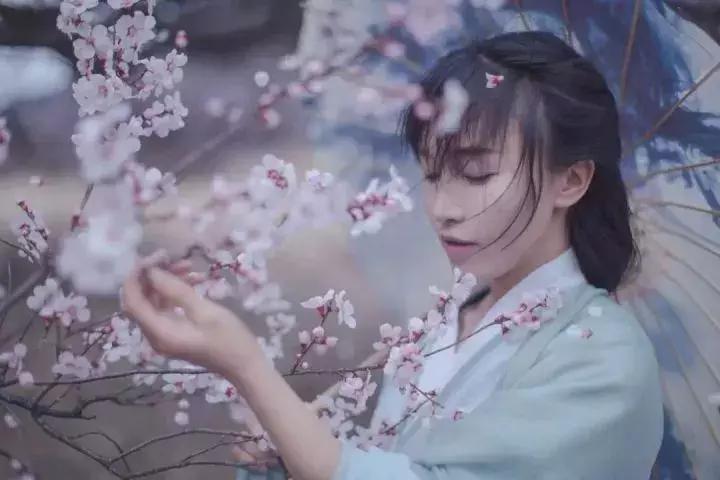 娶妻当娶李子柒小说作品列表,娶妻当娶李子柒前一句是啥