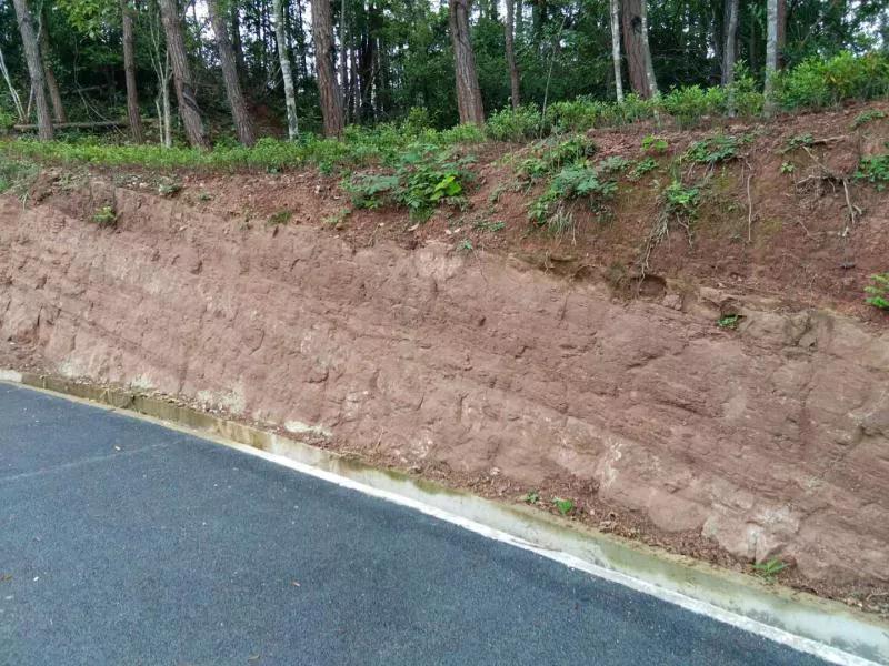 三明大金湖导游词400字,大金湖的景区导游介绍