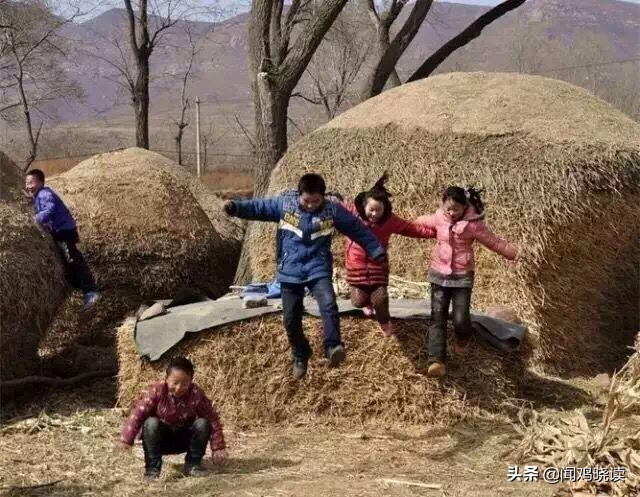 麦子熟了你还回来吗,麦子熟了还记得小时候收麦场景吗