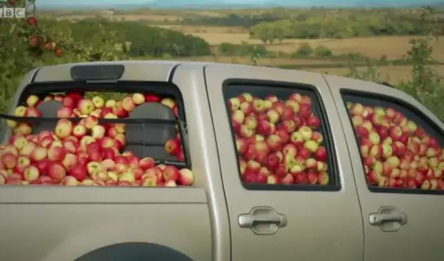 英文动画片推荐3-6岁熊出没,不看喜羊羊和熊出没怎么办