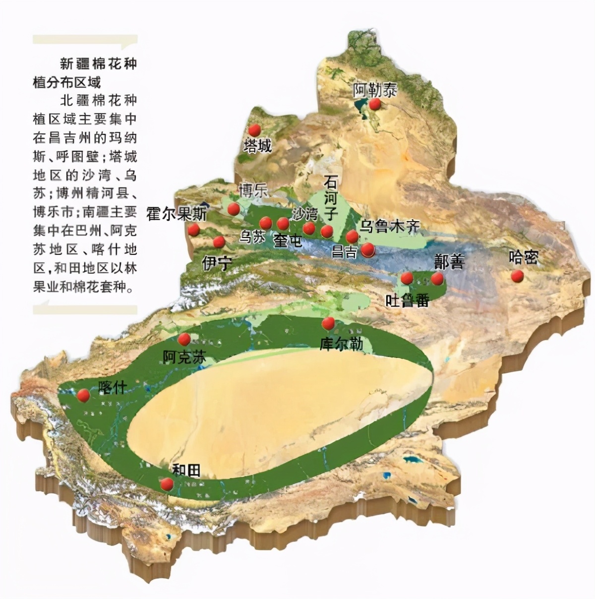 棉田里的边缘战事