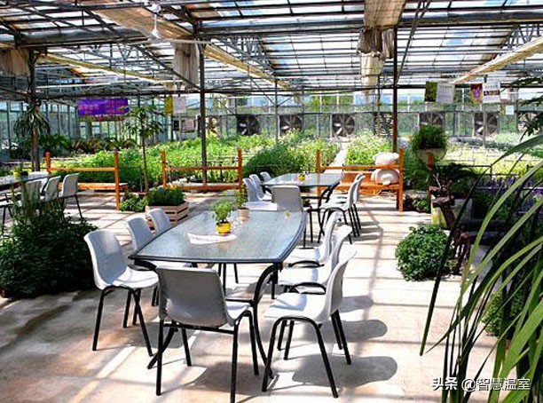 温室大棚生态餐厅合法吗,大棚绿色生态餐厅设计