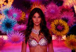 维密最贵的bra是谁穿的,维密最贵天价内衣是谁走秀的