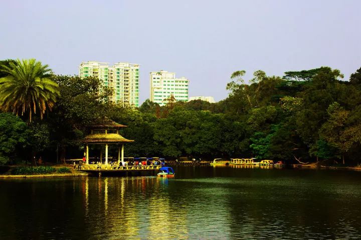 广州免费公园景点大全,广州免费公园排名