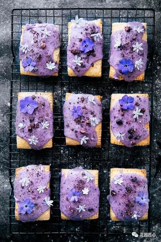 可以食用的花可制作的美食,100种可食用花的做法