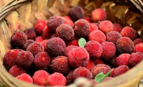 杨梅里的虫子吃进肚子怎么办,杨梅为什么会招虫子