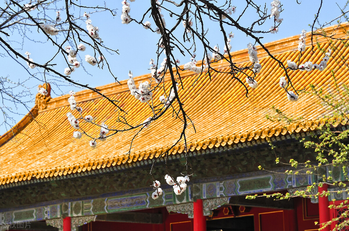 明孝宗和张皇后历史,明仁宗郭贵妃和张皇后