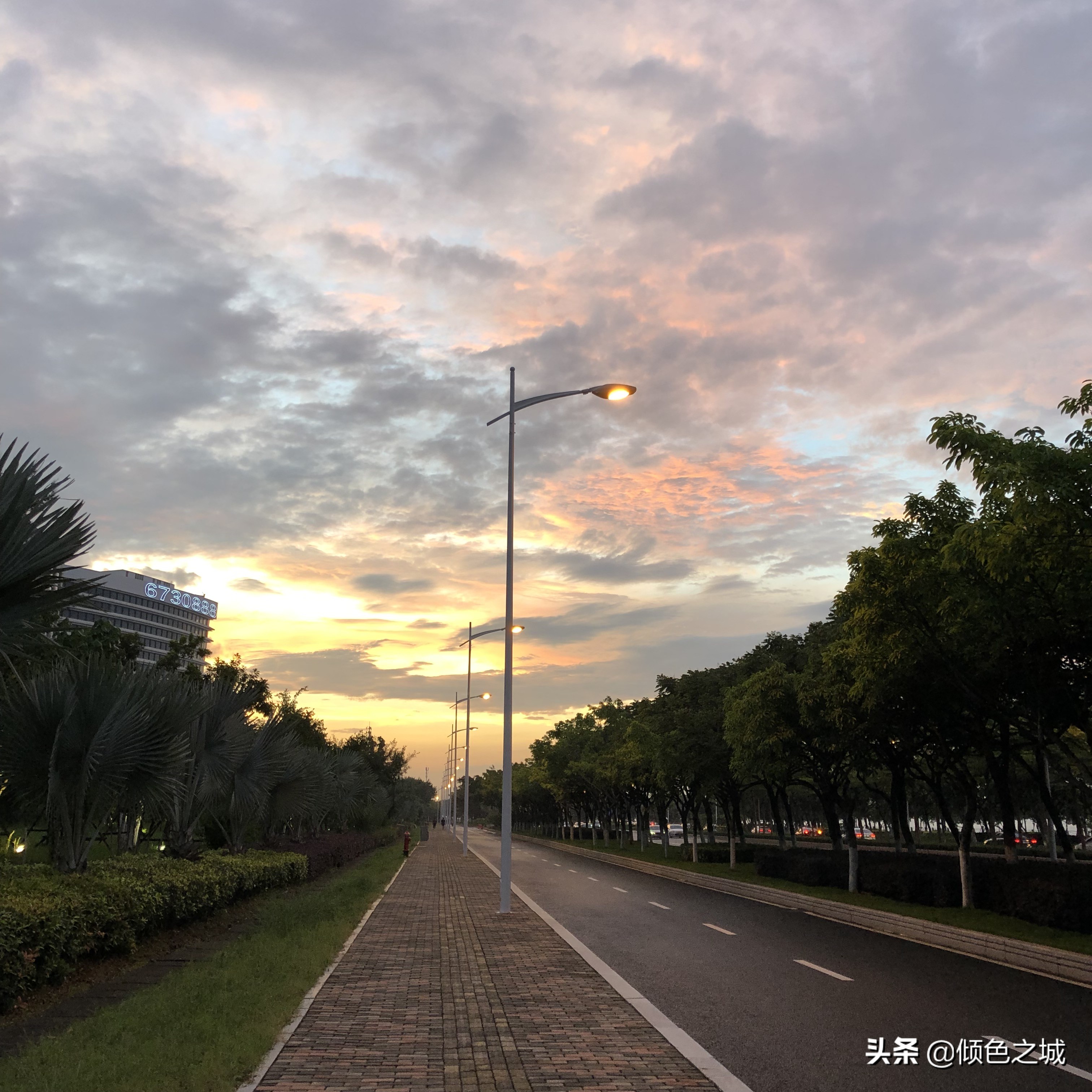 厦门希尔顿逸林酒店房间价格,厦门逸林希尔顿酒店附近的景点