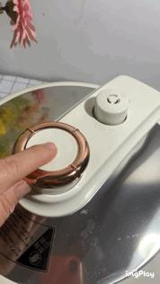 低脂电压力锅测评,安本素电压力锅是日本品牌吗