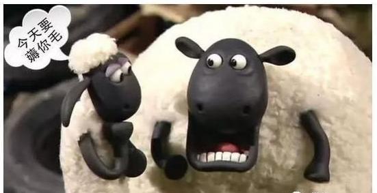 虚假下单狂骗运费险还在洋洋得意！贪不义之财，终究难逃法网