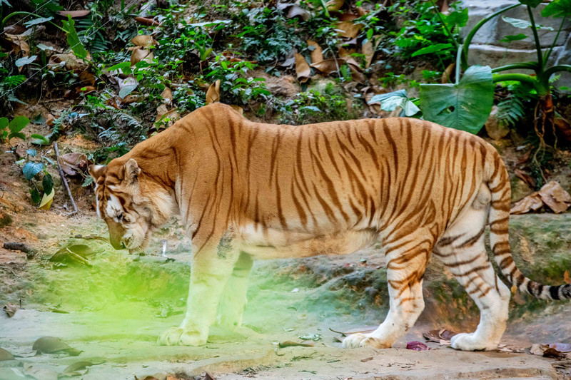 寒假亲子游推荐广东,广东自驾亲子游十大排名