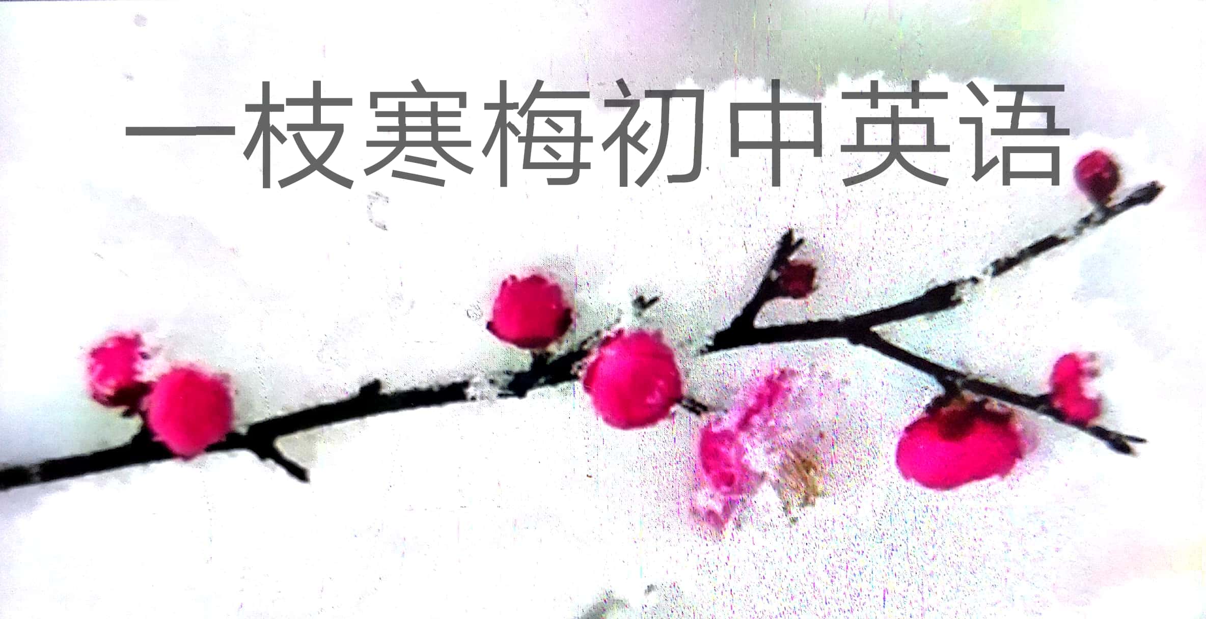 中考常考100个单词,中考常考600个单词带音标及翻译