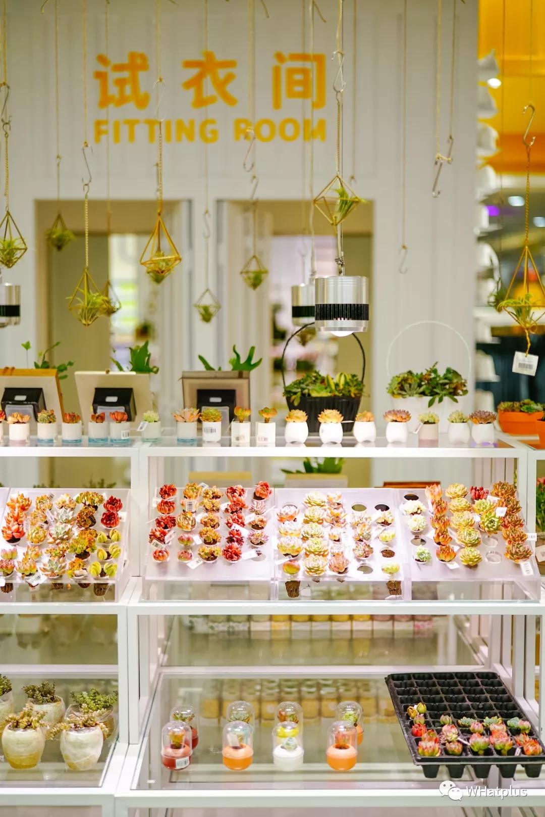 在超市寻宝任务,商场寻宝攻略