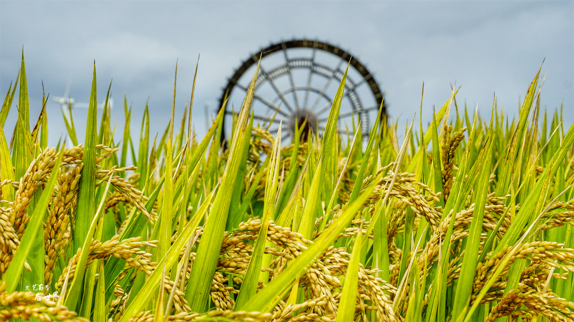沈阳稻梦空间在哪个位置,沈阳市稻梦空间门票
