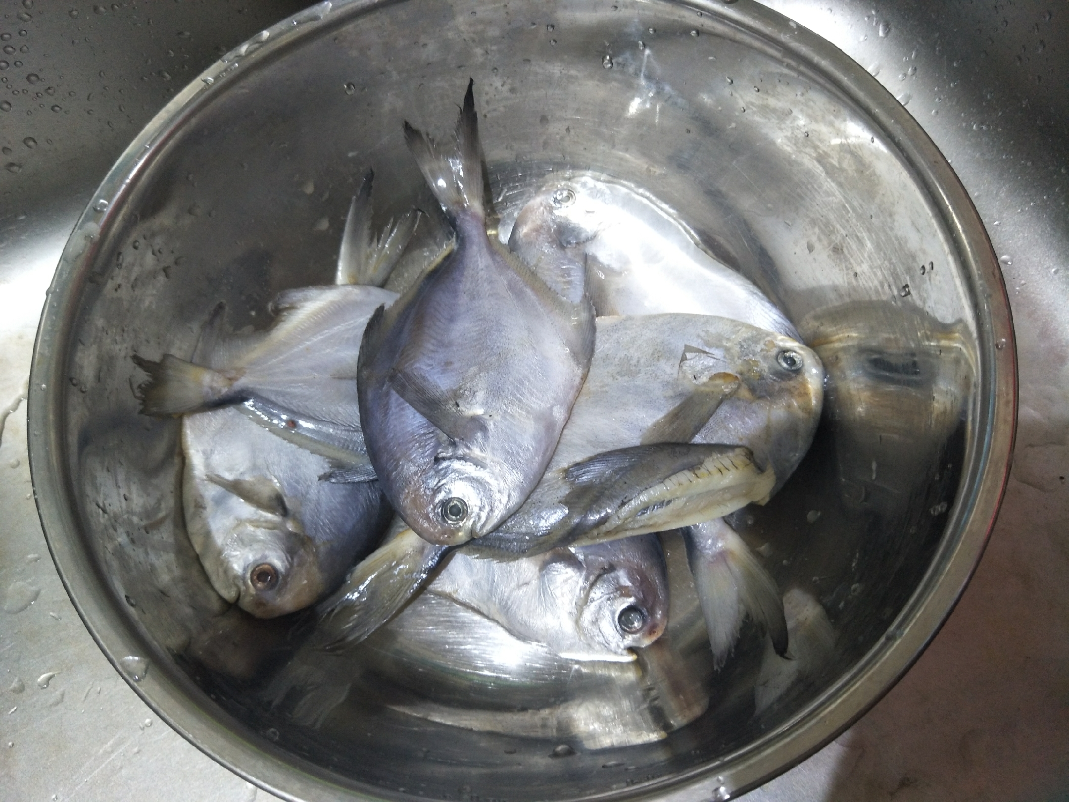 风干小鱼鱼怎么做法最好吃,秋天鱼怎么做好吃又下饭