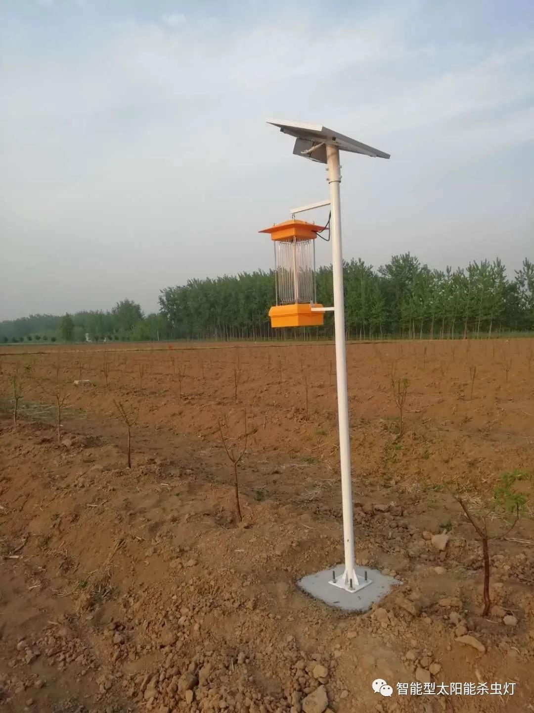 太阳能杀虫灯介绍,太阳能杀虫灯