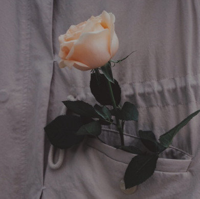 相机推荐排行榜性价比高新手,新手买什么相机比较经济实惠