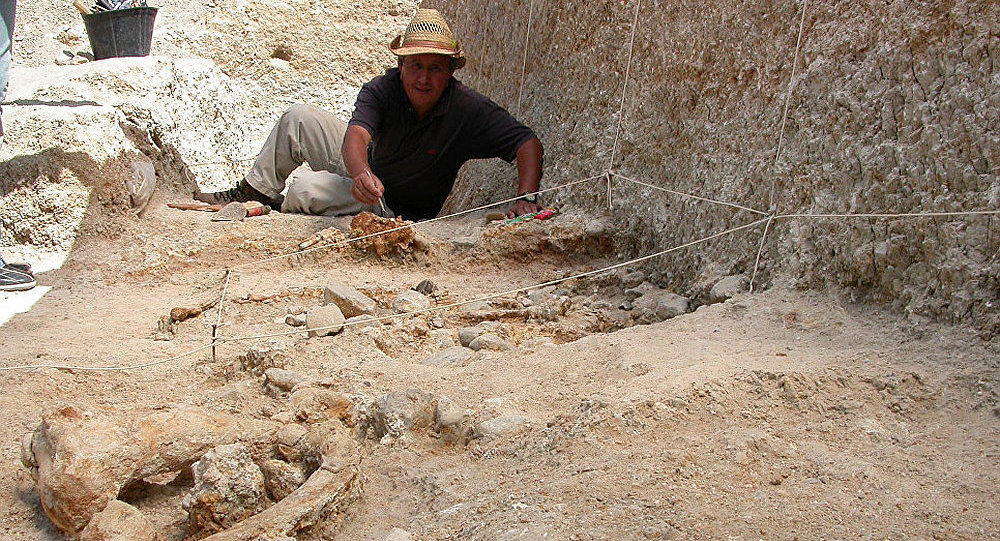 人类发源地认定,科学家确定人类的发源地