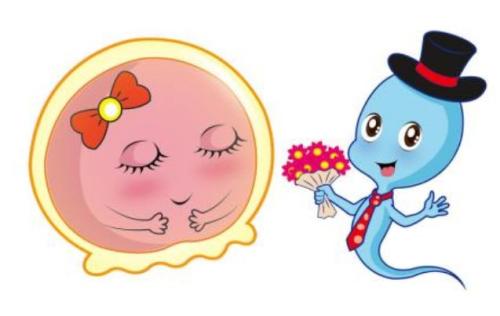 排卵监测一般要做几次,月经过后监测排卵要监测几次