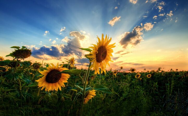 五项自我养成教育：诚品教主给年轻人的人生创意指南