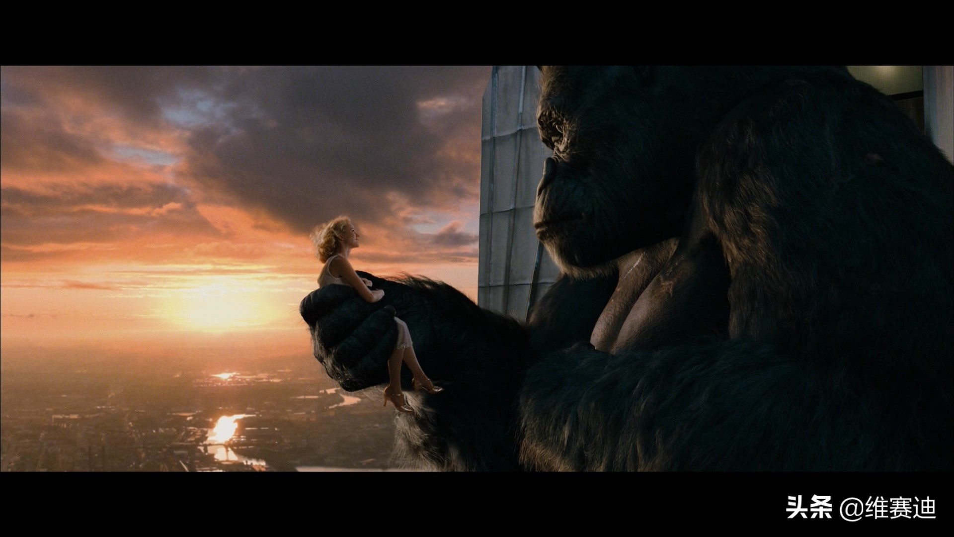 金刚电影各种怪兽排名,金刚骷髅岛大战怪兽电影