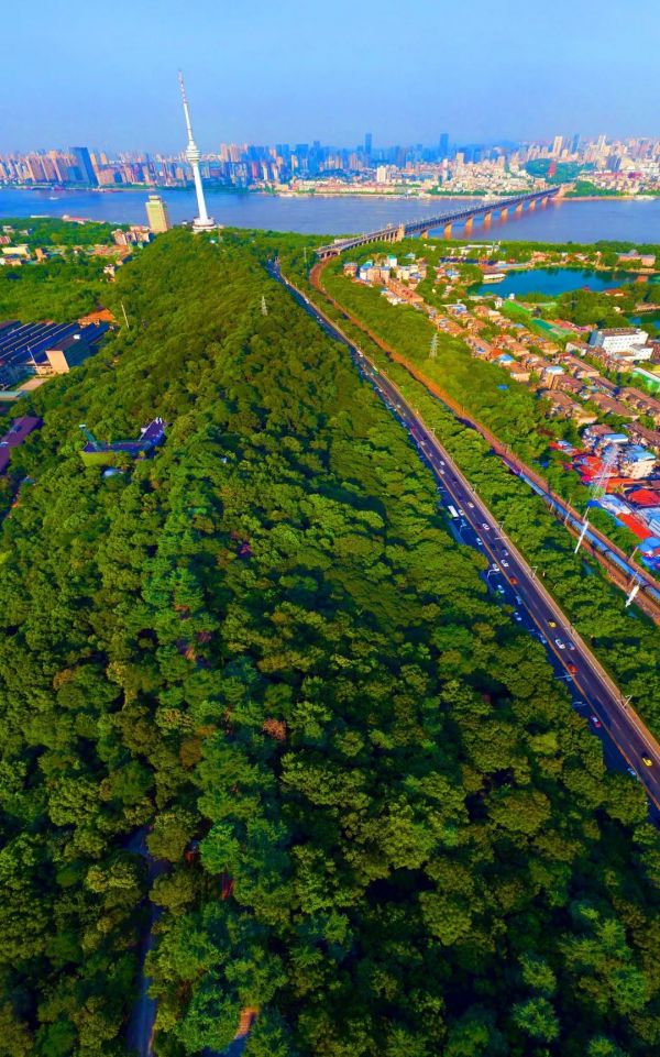 武汉新起点,武汉新起点学校