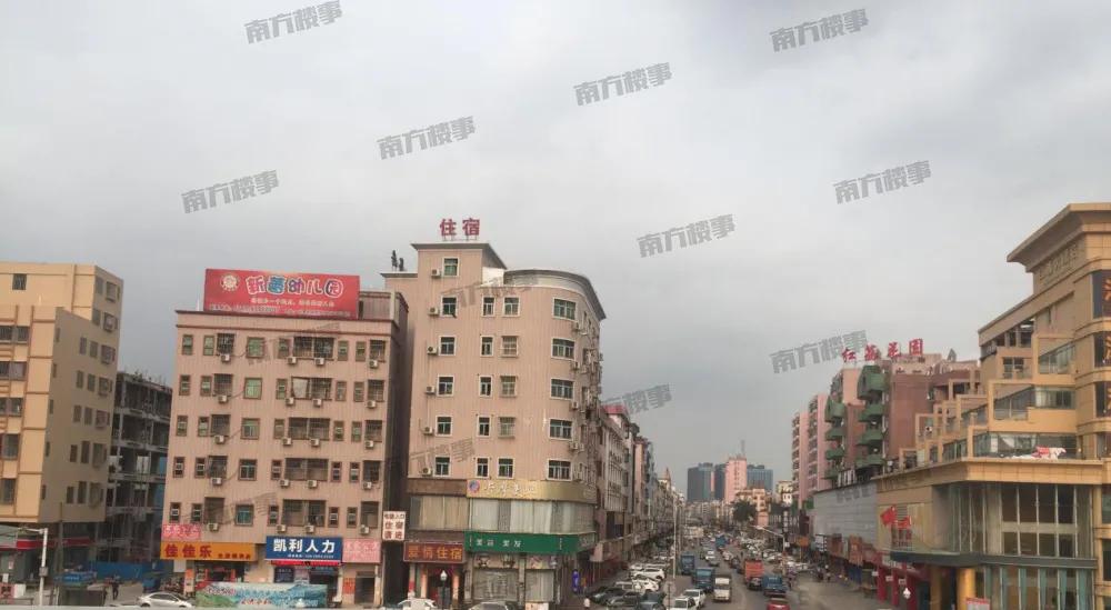 全程暴走！实探疯传的扩容临深区域凤岗+塘厦，到底值不值得买？