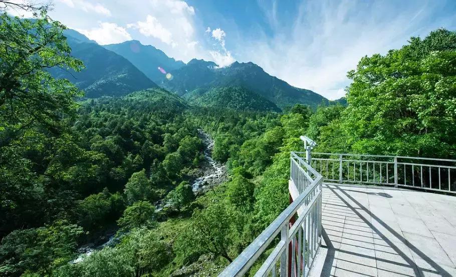 上焦山看云海，奇趣动物之旅，这个地方离成都只有4个小时车程